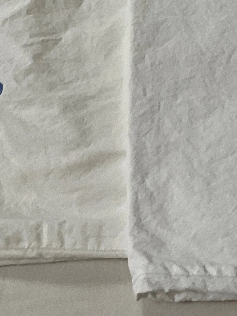 SLEEPING PARTNERS Vintage Embroidered Pillowcases Pair White